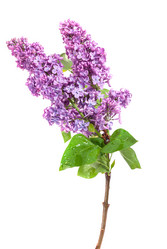 Similar image 2310359