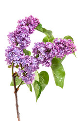 Similar image 2310360