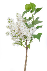 Similar image 2310362