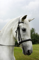 Similar image 2310449