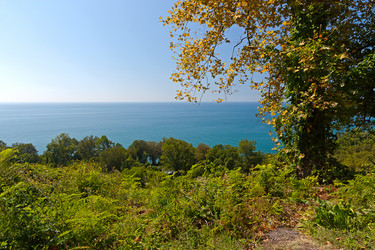 Similar image 2310486