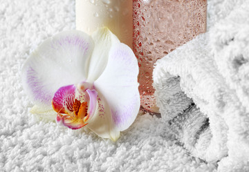 Similar image 2310499