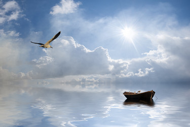 Similar image 2310888