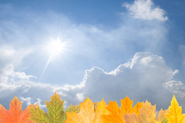 Similar image 2310891