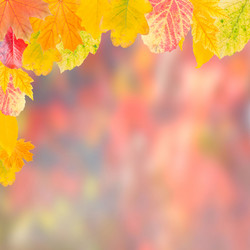 Similar image 2310892