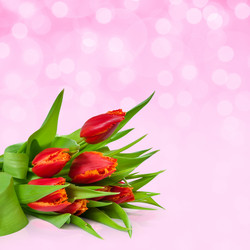 Similar image 2310997