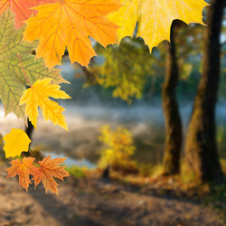 Similar image 2311009