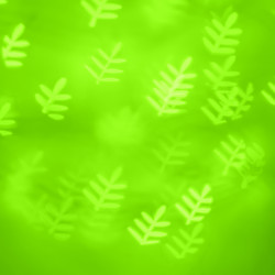 Similar image 2311014