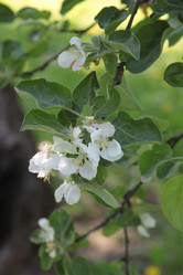 Similar image 2312157