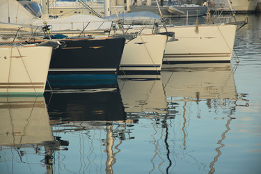 Similar image 2312778