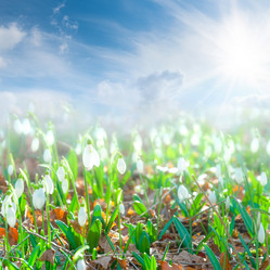 Similar image 2312785