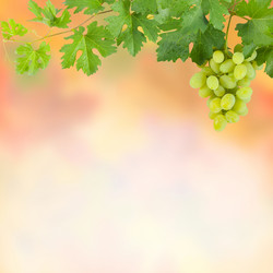 Similar image 2317772