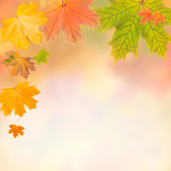 Similar image 2317773