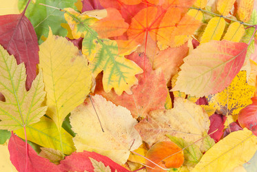 Similar image 2317781