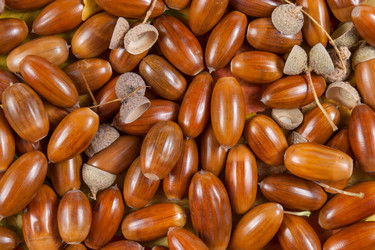 Similar image 2317783