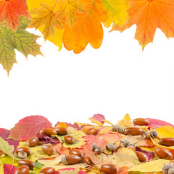 Similar image 2317784