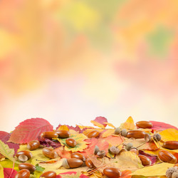 Similar image 2317786