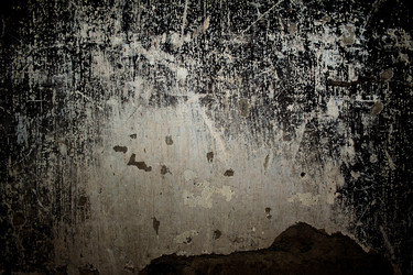 Similar image 2319275