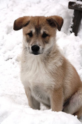 Similar image 2319299