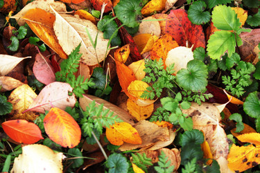 Similar image 2319306