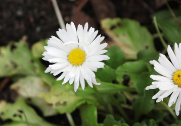 Similar image 2319309