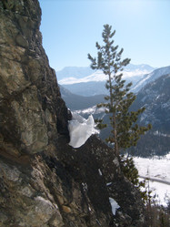 Similar image 2319312