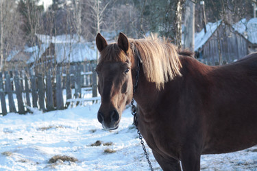 Similar image 2319314