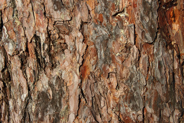 Similar image 2319374