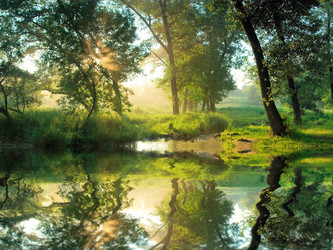 Similar image 2319671