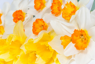 Similar image 2319698