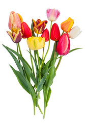 Similar image 2319699