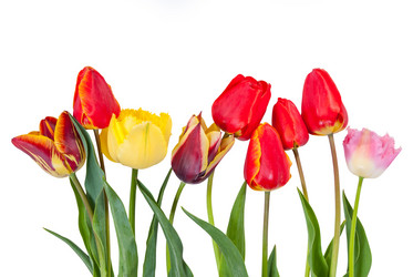 Similar image 2319701