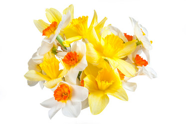 Similar image 2319703