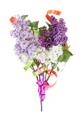 Similar image 2319705