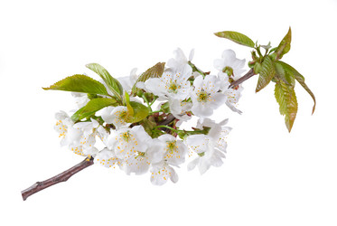 Similar image 2319707