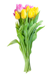 Similar image 2319708