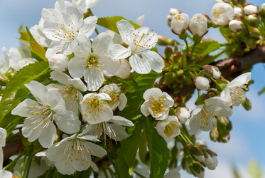 Similar image 2319713