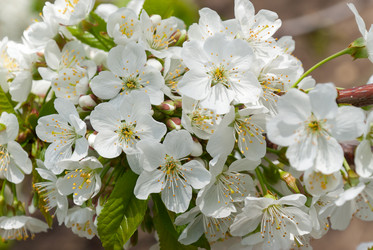 Similar image 2319716