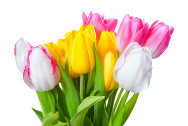 Similar image 2319731