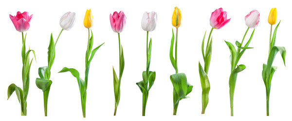 Similar image 2319750