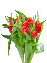 Similar image 2319753