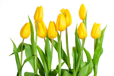 Similar image 2319754