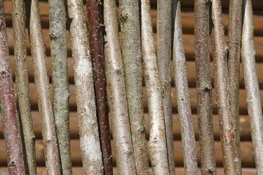 Similar image 2319784