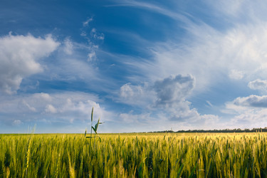 Similar image 2320226