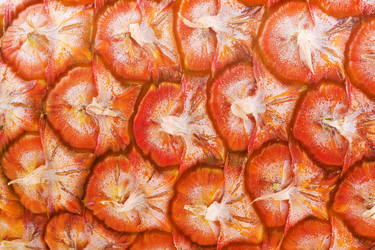 Similar image 2320228