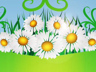 Similar image 2321958