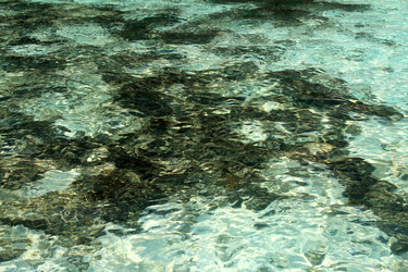 Similar image 2322858