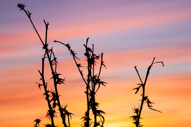 Similar image 2323534