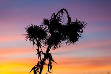 Similar image 2323537