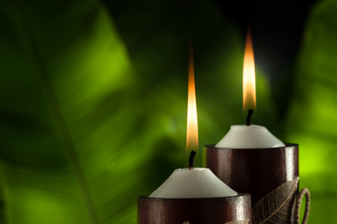 Similar image 2323726